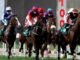 Horse Racing