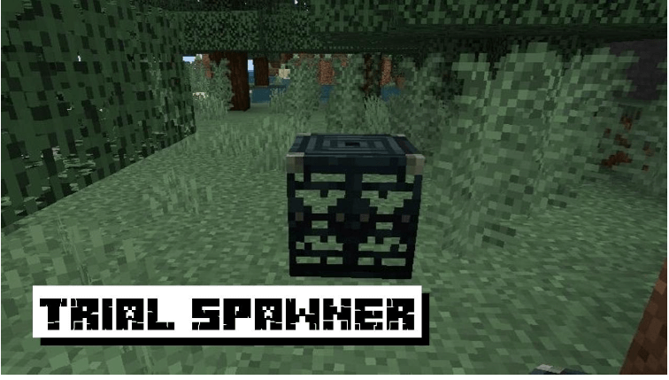 Trial Spawners